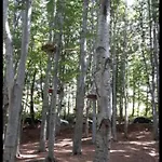 Il Telaio - Pian Di Nenne