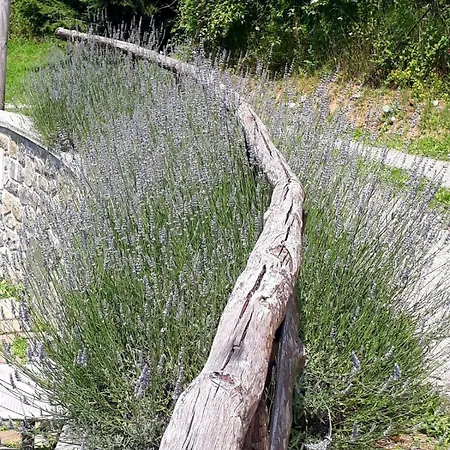 Il Telaio - Pian Di Nenne Piastre